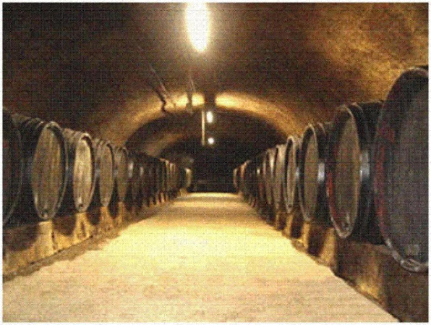 Ferienweingut Peter-Jos. Hauth Bernkastel-Kues Exterior foto